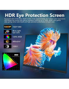 Monitor Portátil HGFRTEE 18.5" FHD 100Hz USB-C HDMI 2