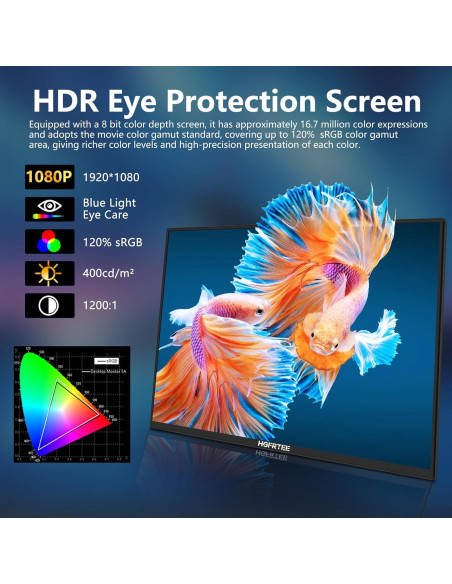 Monitor Portátil HGFRTEE 18.5" FHD 100Hz USB-C HDMI