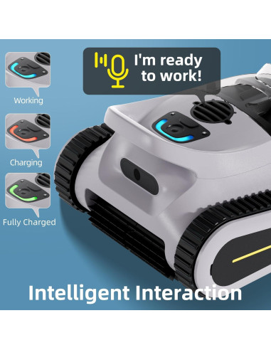 Aspiradora de piscina YIPOCKY YPC09 robótica 12,51 kg