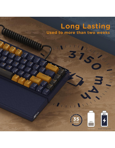 Teclado Gaming RK Royal Kludge RKS70 Inalámbrico Ergonómico Teclado Gaming RK Royal Kludge RKS70 Inalámbrico Ergonómico