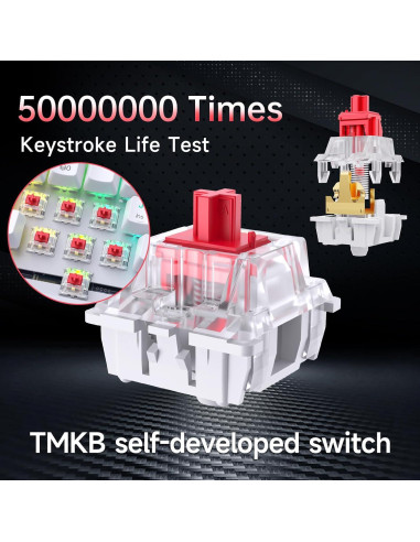 Teclado Mecánico DIERYA DK63 Inalámbrico RGB 60% Blanco