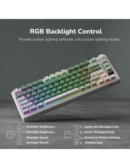 Teclado Mecánico RK ROYAL KLUDGE M75 75% RGB OLED
