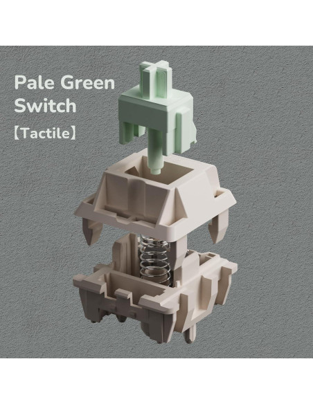 Teclado Mecánico RK ROYAL KLUDGE M75 75% RGB OLED