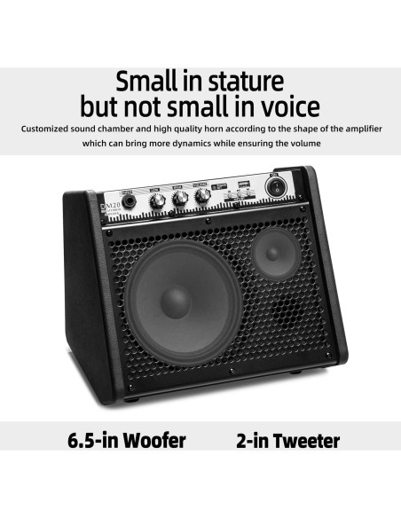 Amplificador Coolmusic DM20 20W Bluetooth Portátil