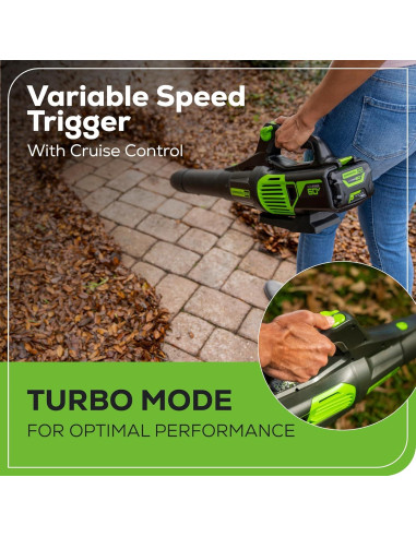 Soplador de Hojas Greenworks 60V 610 CFM Batería 2.5Ah