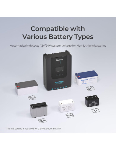 Controlador de Carga Solar Renogy Rover 20A 12V/24V MPPT