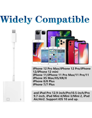 Adaptador Ethernet Lightning a RJ45 DESOFICON 2 en 1 100Mbps