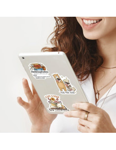 MiStar Stickers Literarios 110 Piezas para Decorar 2