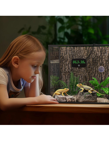 Termómetro e Higrómetro Digital PAIZOO para Reptiles 2-en-1
