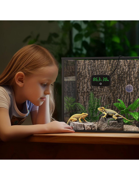Termómetro e Higrómetro Digital PAIZOO para Reptiles 2-en-1