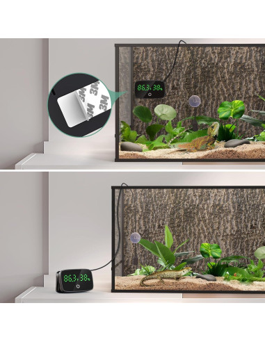 Termómetro e Higrómetro Digital PAIZOO para Reptiles 2-en-1