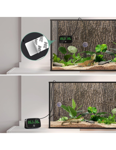 Termómetro e Higrómetro Digital PAIZOO para Reptiles 2-en-1