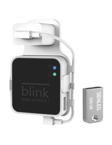 Unidad Flash USB Blink 256GB + Soporte de Montaje