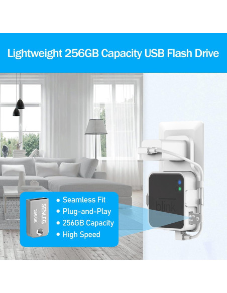 Unidad Flash USB Blink 256GB + Soporte de Montaje