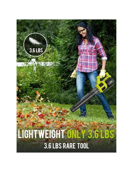 EWORK Soplador de Hojas Inalámbrico 21V Turbo 1.63kg