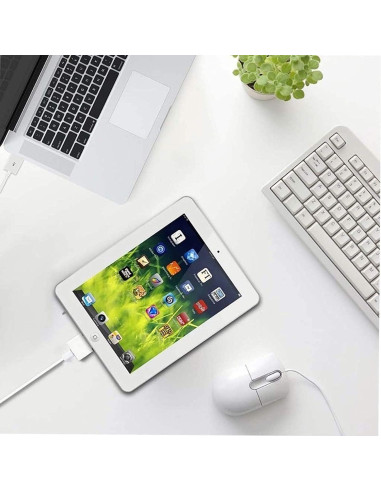 Adaptador Lightning a 30 Pines Belcompany 1 Paquete Blanco