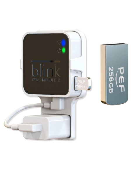 Unidad Flash USB 256GB PEF + Soporte Módulo Blink 2