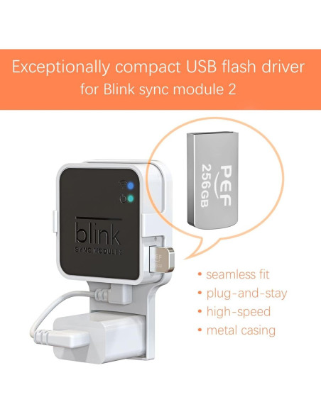 Unidad Flash USB 256GB PEF + Soporte Módulo Blink 2