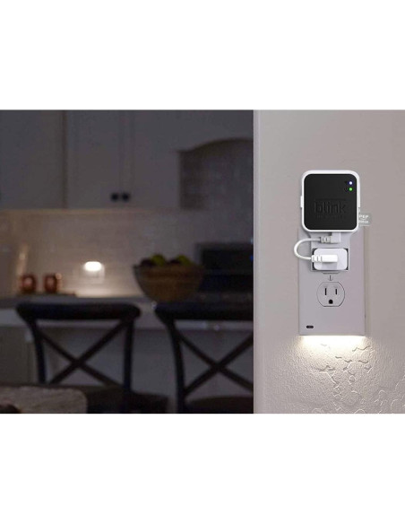 Unidad Flash USB 256GB PEF + Soporte Módulo Blink 2