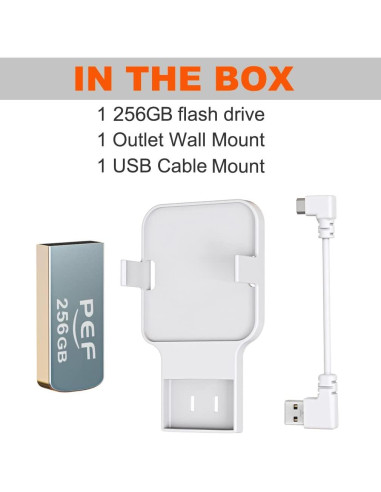 Unidad Flash USB 256GB PEF + Soporte Módulo Blink 2