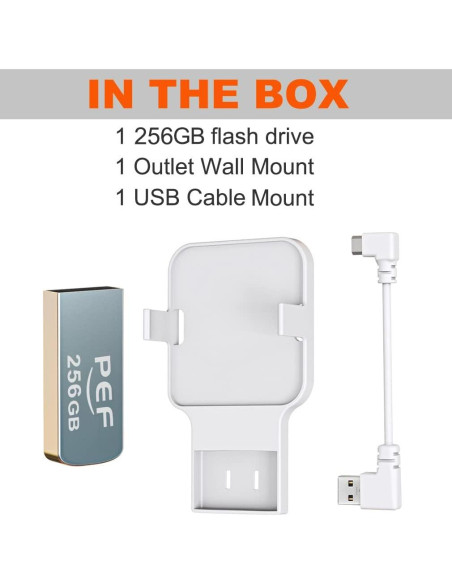 Unidad Flash USB 256GB PEF + Soporte Módulo Blink 2