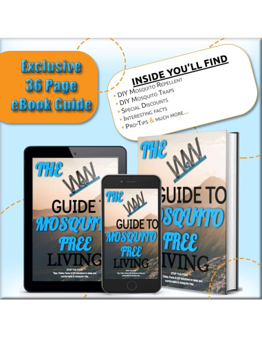 Bobinas Repelente Mosquitos W4W - 12 bobinas y 6 soportes
