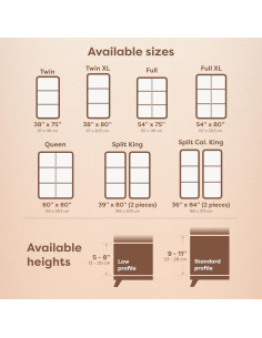 Funda Box Spring HOSPITOLOGY Rey Dividido A Prueba de Chinches 2