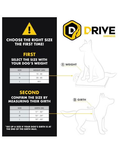 Arnés de perro EzyDog Drive Mediano - Seguridad en auto