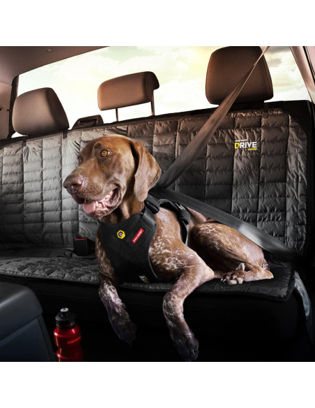 Arnés de perro EzyDog Drive Mediano - Seguridad en auto