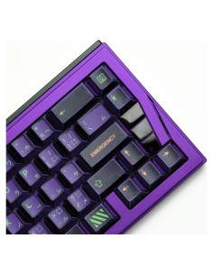 Teclado Mecánico Teclas PBT ULTRAEQUIP 151 Morado Verde Manga