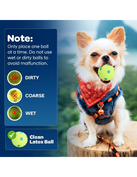 Lanzador Automático de Pelotas JolyBay - Azul para Perros