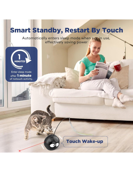 Juguete Interactivo para Gatos AIPERRO Bola Recargable Negro