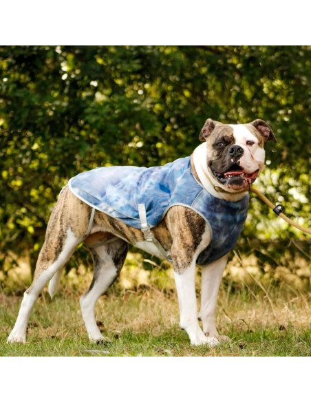 Chaleco Refrigerante para Perros Spark Paws 3XL Azul Hielo