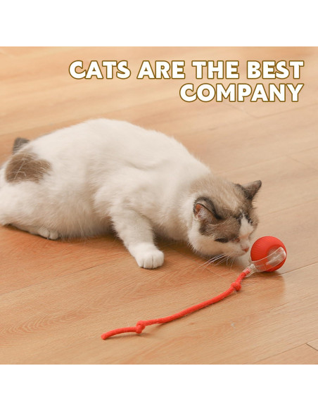 Bola Interactiva Chewie Viral para Perros y Gatos - Rojo