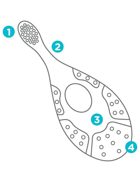 Fisher Price Kit de Inicio Cepillo de Dedo y Estuche 4 Piezas