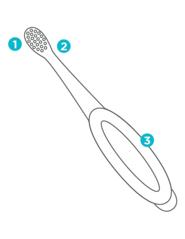 Fisher Price Kit de Inicio Cepillo de Dedo y Estuche 4 Piezas