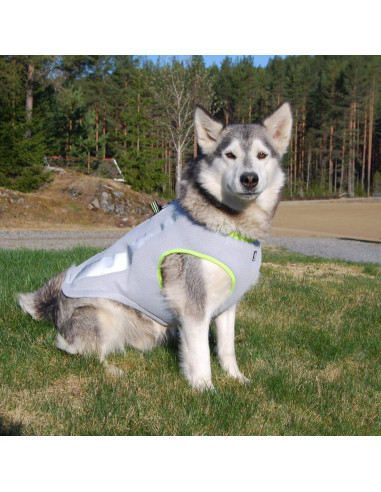 Chaleco Refrigerante para Perros SGODA Grande Gris Verde