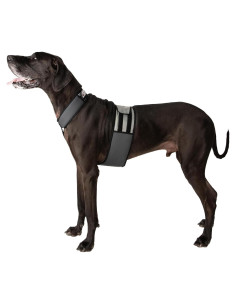 Chaleco y Collar Refrigerante para Perros Maranda XL