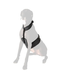 Chaleco y Collar Refrigerante para Perros Maranda XL 2