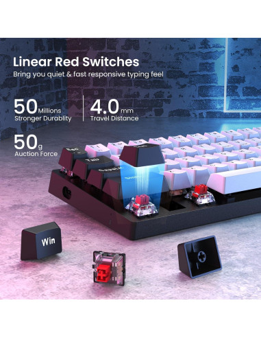 Teclado Mecánico Gaming CACKBIRD 60% Ergonómico USB LED