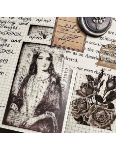 Papel Térmico Autoadhesivo Phomemo 50mm x 3m 3 Rollos 2