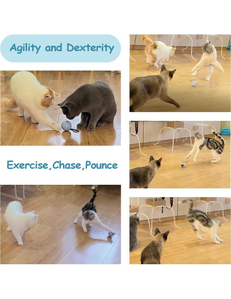 Juguete Interactivo para Gatos Migipaws Bola Rodante Naranja