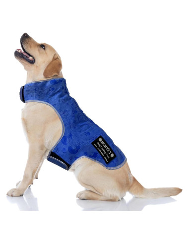 Chaleco Refrigerante para Perros HCHYEY PVA Azul Tamaño S