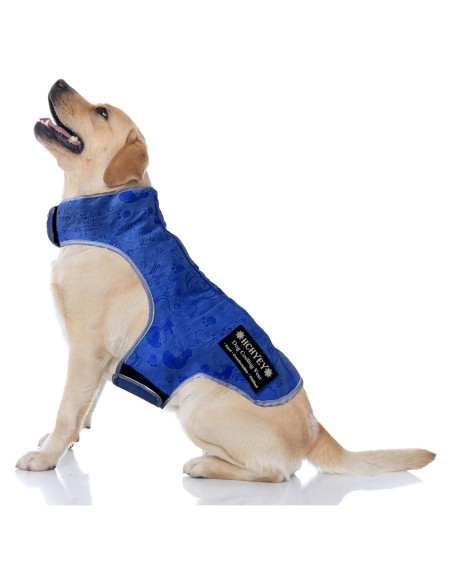 Chaleco Refrigerante para Perros HCHYEY PVA Azul Tamaño S
