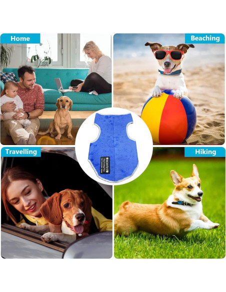 Chaleco Refrigerante para Perros HCHYEY PVA Azul Tamaño S