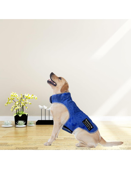 Chaleco Refrigerante para Perros HCHYEY PVA Azul Tamaño S