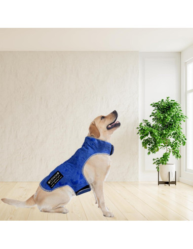 Chaleco Refrigerante para Perros HCHYEY PVA Azul Tamaño S