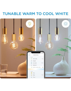 Bombilla LED Inteligente WiZ ST19 40W Ámbar - Paquete de 4 2