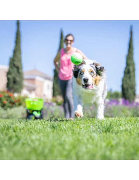 Lanzador Automático de Pelotas GoDogGo para Perros 2.5"