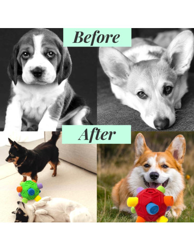 Pelota Snuffle CIIVURR Juguete Interactivo para Perros